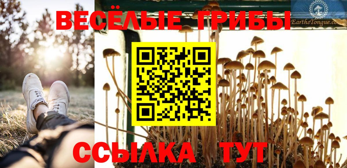 Кашира  Псилоцибиновые грибы Psilocybe  Вход с VPN  Псилоцибиновые грибы ЛСД 