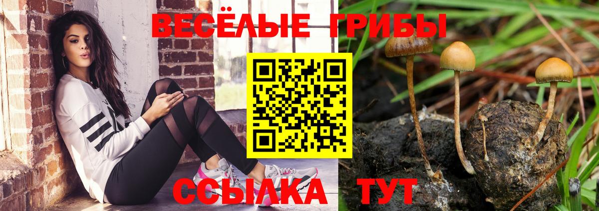 Псилоцибиновые грибы мицелий Кашира