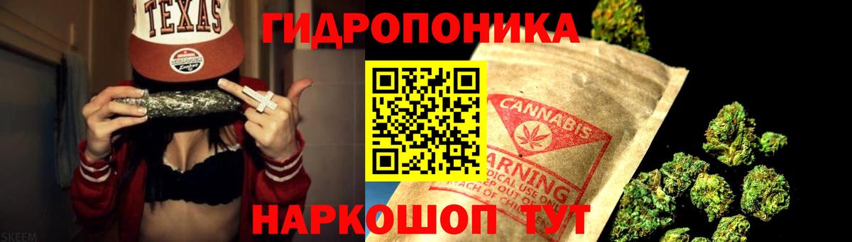 Канабис гибрид Кашира